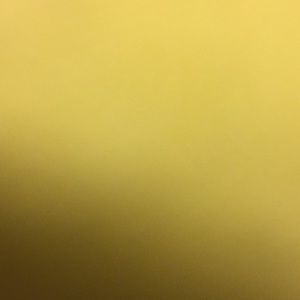 Meet your Posher, Maya